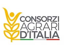 Consorzi