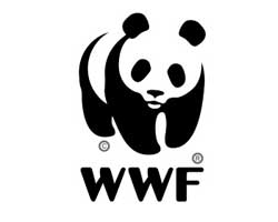 WWF